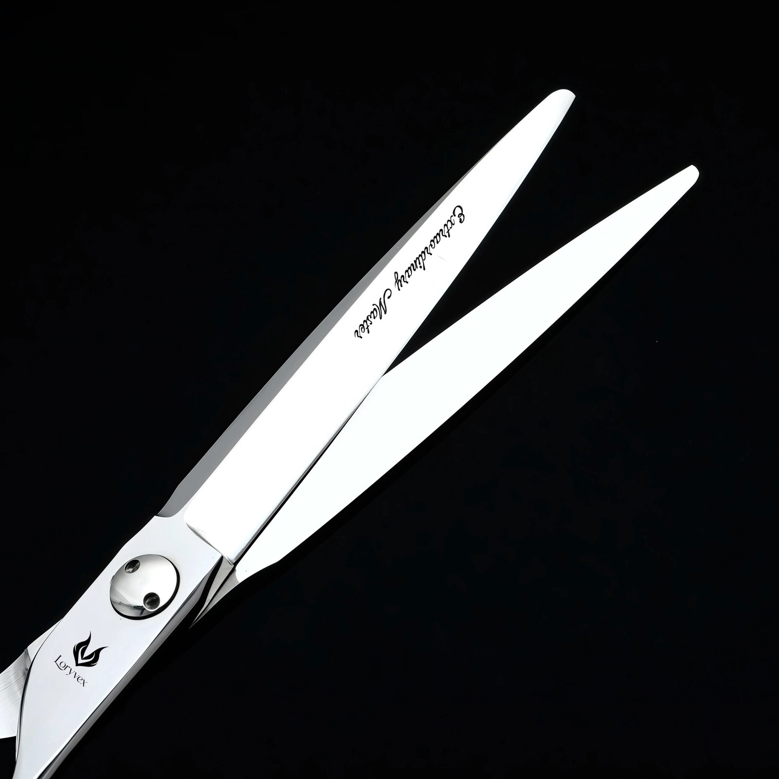 Close-up of polished silver cutting shear blades