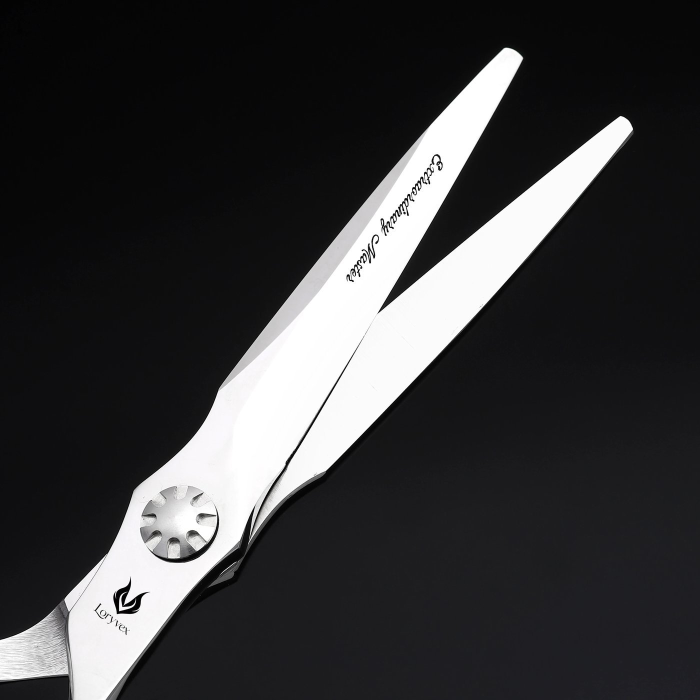 Silver Emblem Pivot Scissors Set — 4