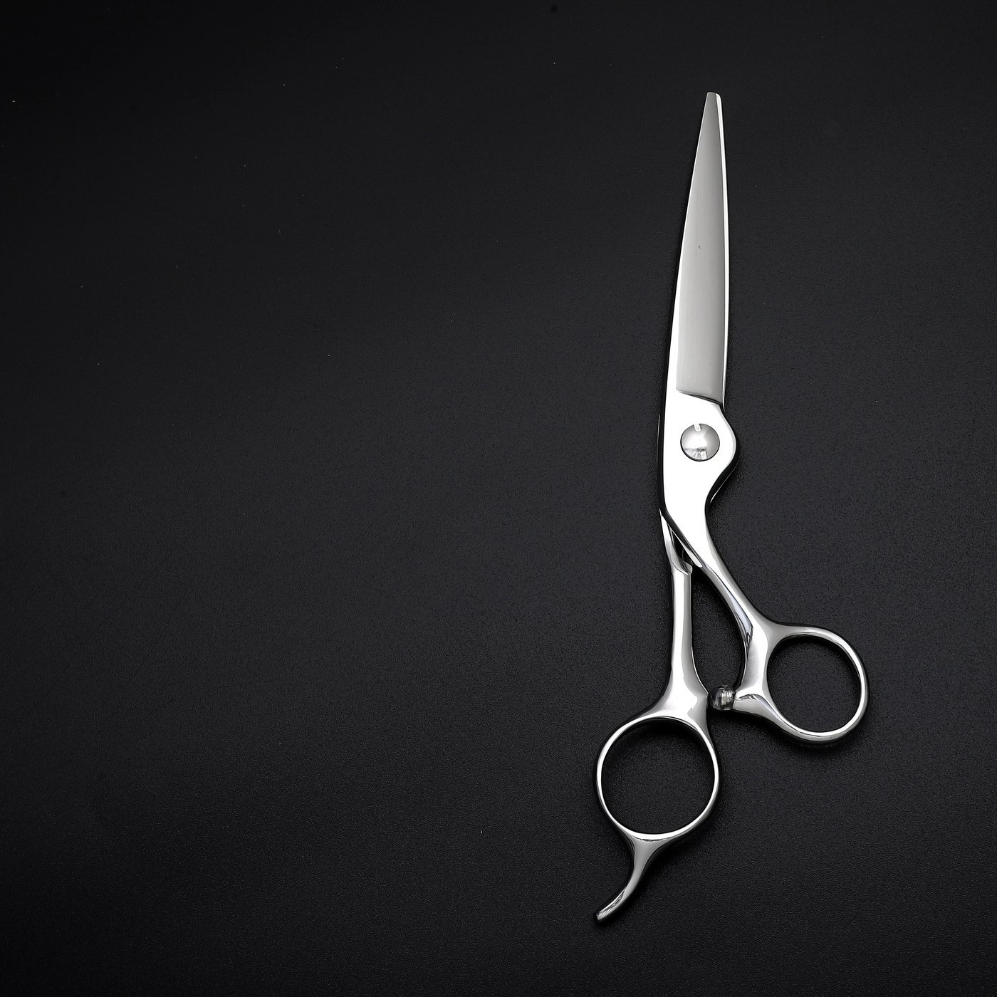 Violet Accent Cutting Scissors — 2